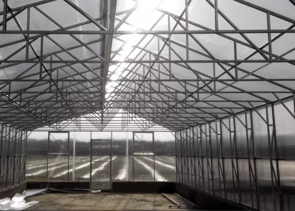 Теплицы Теплицы